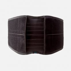 Alternative view of Aspen® Lumbar Support